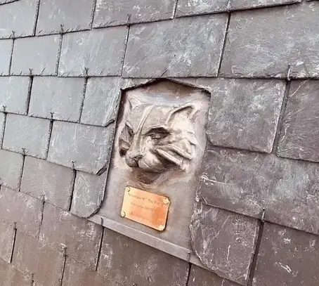 couvreur charpentier Tinténiac-1