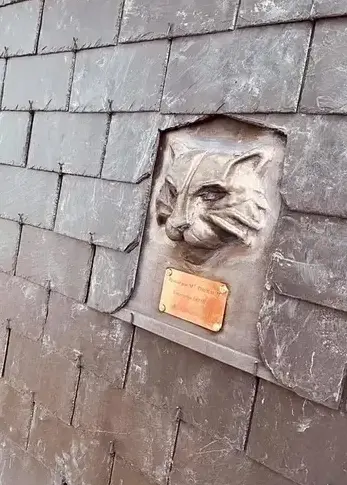 couvreur Saint-Domineuc-2