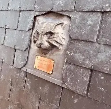 démoussage de toiture Dinan-2