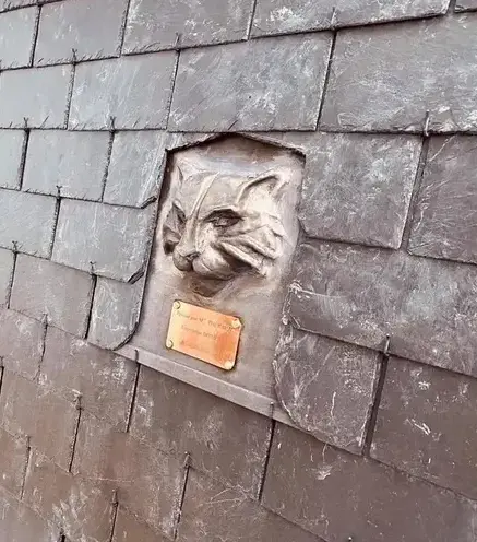 démoussage de toiture Saint-Domineuc-1