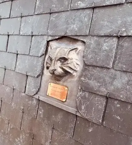 entretien de toit Combourg-4