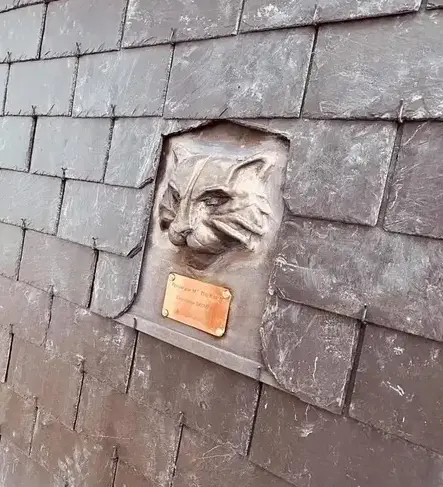 entretien de toit Tinténiac-1