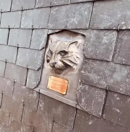 installateur de Velux Combourg-1