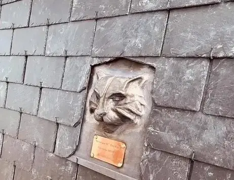 installateur de Velux Dinan-1