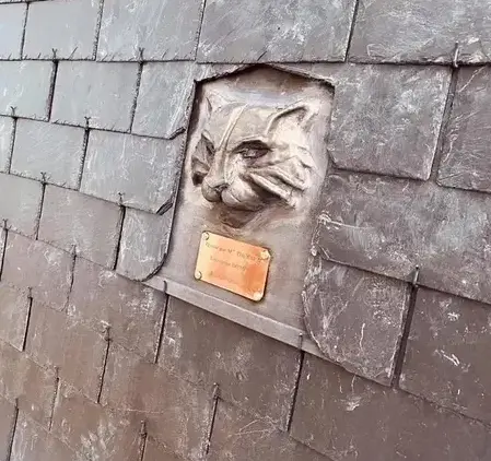 installateur de Velux Mesnil-Roc'h-3