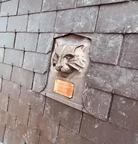 installateur de Velux Saint-Domineuc-3