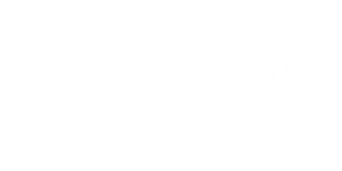 installateur de velux saint domineuc