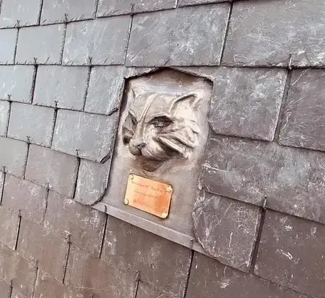 réparation de toit Combourg-4