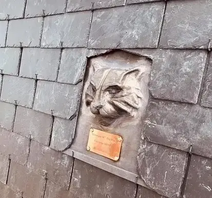 réparation de toit Mesnil-Roc'h-3