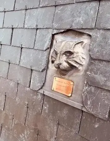 réparation de toit Miniac-Morvan-1