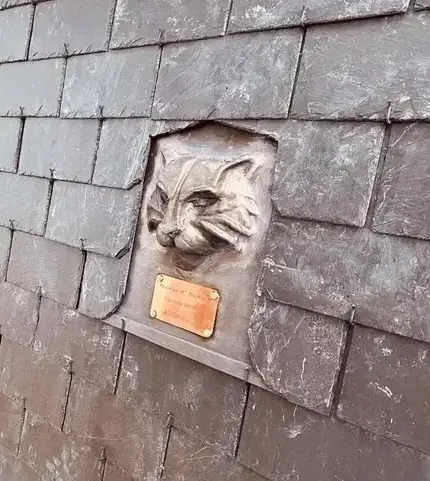 réparation de toit Saint-Père-Marc-en-Poulet-5