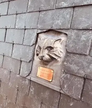 réparation de toit Tinténiac-3