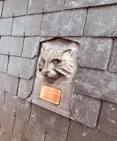 zingueur Tinténiac-4